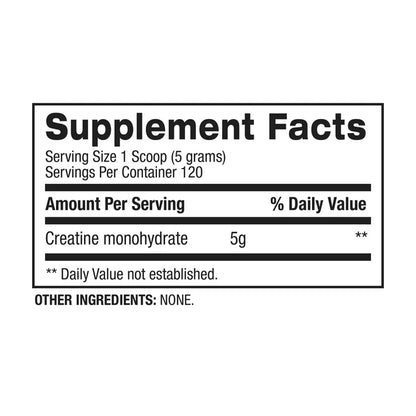 BPI Micronized Creatine 600grms