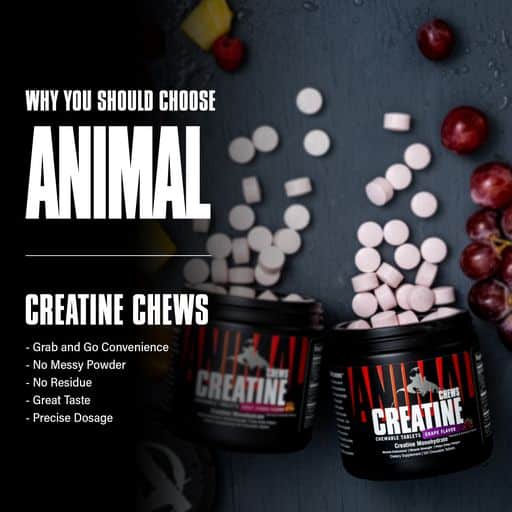 Universal Animal Creatina Masticable 120 tabletas