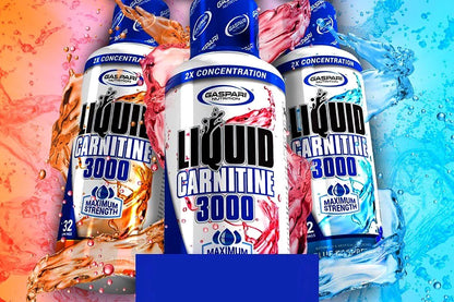Gaspari L-Carnitine Liquid 3000 16 oz